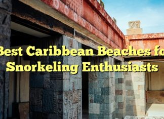 Best Caribbean Beaches for Snorkeling Enthusiasts