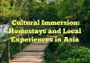 Cultural Immersion: Homestays and Local Experiences in Asia