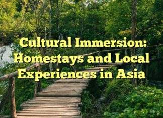 Cultural Immersion: Homestays and Local Experiences in Asia
