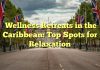 Wellness Retreats in the Caribbean: Top Spots for Relaxation