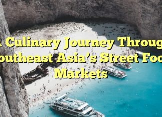 A Culinary Journey Through Southeast Asia’s Street Food Markets