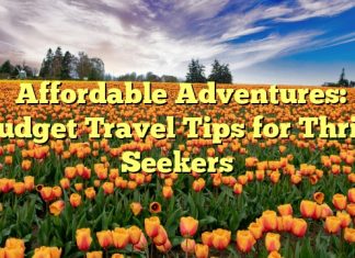 Affordable Adventures: Budget Travel Tips for Thrill Seekers