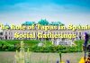 The Role of Tapas in Spanish Social Gatherings