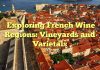 Exploring French Wine Regions: Vineyards and Varietals