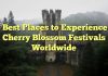 Best Places to Experience Cherry Blossom Festivals Worldwide