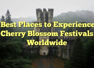 Best Places to Experience Cherry Blossom Festivals Worldwide