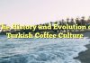 The History and Evolution of Turkish Coffee Culture