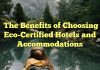 The Benefits of Choosing Eco-Certified Hotels and Accommodations