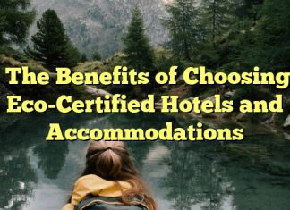 The Benefits of Choosing Eco-Certified Hotels and Accommodations