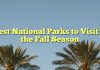 Best National Parks to Visit in the Fall Season