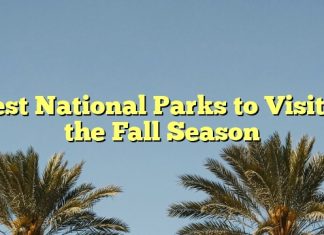 Best National Parks to Visit in the Fall Season
