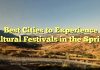 Best Cities to Experience Cultural Festivals in the Spring