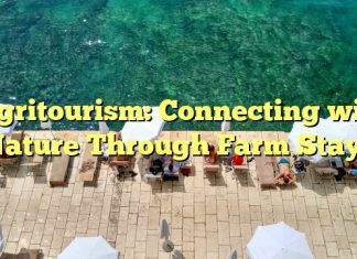 Agritourism: Connecting with Nature Through Farm Stays