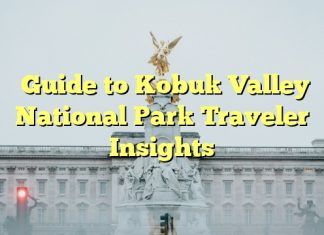 Guide to Kobuk Valley National Park Traveler Insights