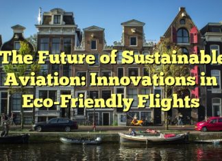 The Future of Sustainable Aviation: Innovations in Eco-Friendly Flights