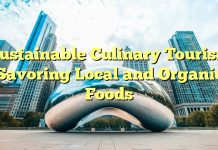 Sustainable Culinary Tourism: Savoring Local and Organic Foods
