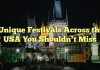 Unique Festivals Across the USA You Shouldn’t Miss