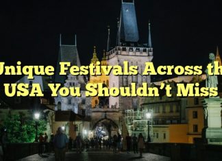 Unique Festivals Across the USA You Shouldn’t Miss