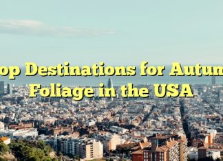 Top Destinations for Autumn Foliage in the USA