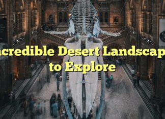 Incredible Desert Landscapes to Explore