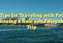 
Tips for Traveling with Pets: Ensuring a Safe and Enjoyable Trip