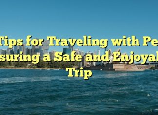 
Tips for Traveling with Pets: Ensuring a Safe and Enjoyable Trip