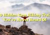 10 Hidden Gem Hiking Trails You’ve Never Heard Of