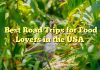Best Road Trips for Food Lovers in the USA