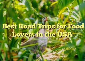 Best Road Trips for Food Lovers in the USA