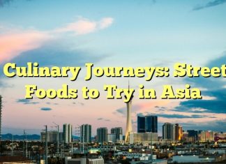 Culinary Journeys: Street Foods to Try in Asia