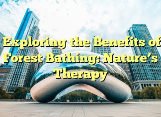 Exploring the Benefits of Forest Bathing: Nature’s Therapy