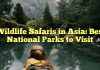Wildlife Safaris in Asia: Best National Parks to Visit