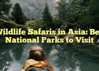 Wildlife Safaris in Asia: Best National Parks to Visit