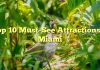 Top 10 Must-See Attractions in Miami