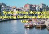 Scuba Diving Hotspots: Exploring Caribbean Marine Life