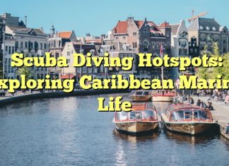 Scuba Diving Hotspots: Exploring Caribbean Marine Life
