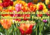 Wellness Retreats in Asia: Top Destinations for Yoga and Meditation