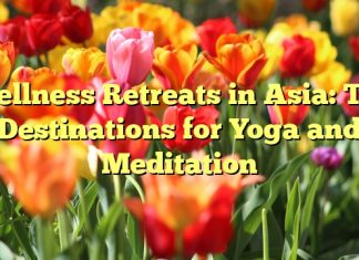 Wellness Retreats in Asia: Top Destinations for Yoga and Meditation