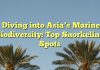 Diving into Asia’s Marine Biodiversity: Top Snorkeling Spots
