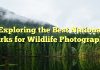 Exploring the Best National Parks for Wildlife Photography