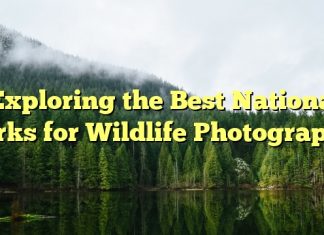Exploring the Best National Parks for Wildlife Photography