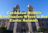 Caribbean Wildlife Sanctuaries: Where to See Exotic Animals