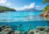 10 Breathtaking Snorkeling Spots in Jamaica That Will Leave You Speechless!